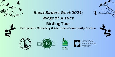 Imagem principal do evento Black Birders Week: Birding with NYRP, NYC Audubon & Evergreens Cemetery