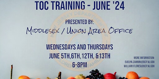 Primaire afbeelding van Tradition of Care (TOC) Training - June 5th, 6th, 12th, and 13th (6-8pm)