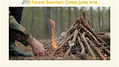 Forest Survivor Camp