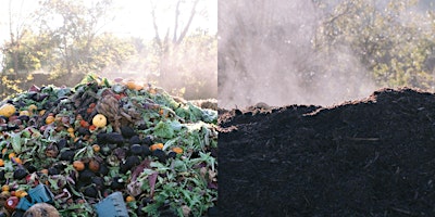 Hauptbild für WORKSHOP: Compost 101