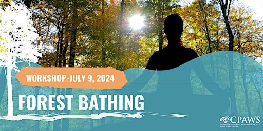 Image principale de Forest Bathing and Mindfulness Workshop