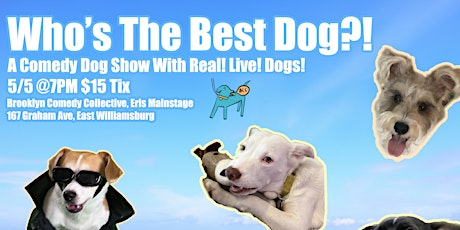 Who's the Best Dog?!: A Comedy Dog Show Featuring Real Live Dogs!