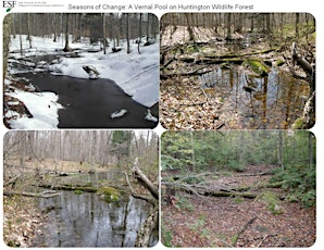 Michigan Vernal Pool Patrol Training