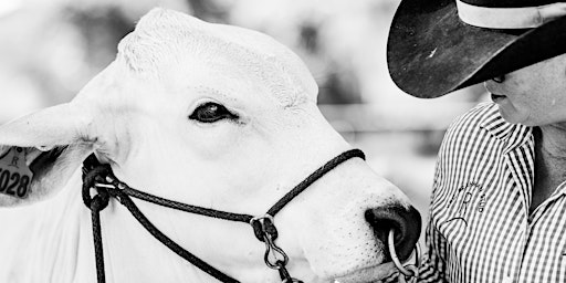 Image principale de Learn Ear Tagging - Katherine campus Open Day 2024