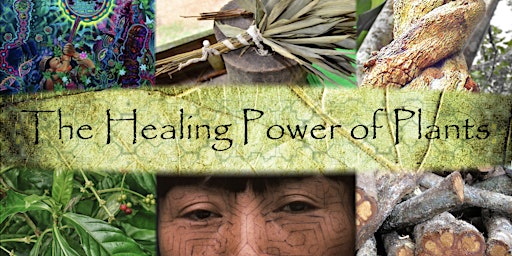 Imagem principal do evento The Healing Power of Plants