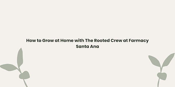 Cultivation 101: How to Grow at Home with Rooted Crew at the Farmacy Santa Ana