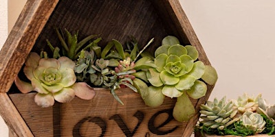 Wooden Succulent Centerpiece or Hexagon Hanging Planter primary image