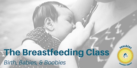 The Breastfeeding Class: Birth, Babies, & Boobies primary image