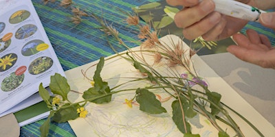 Hauptbild für ~ Draw Plants Together ~ Coburg Library Makerspace
