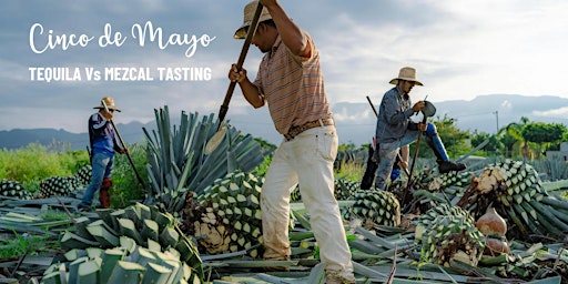 Primaire afbeelding van CINCO DE MAYO: Tequila versus Mezcal