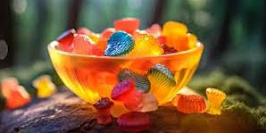 Bloom CBD Gummies Are They Work? primary image