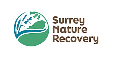 Imagen principal de Webinar - Developing a nature recovery strategy for Surrey