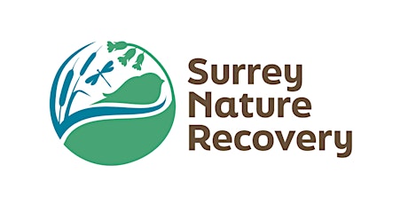 Webinar - Developing a nature recovery strategy for Surrey