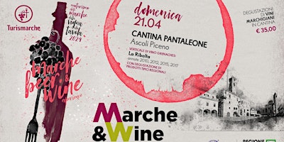 Cantina Pantaleone - Marche Wine & Beer Experience primary image