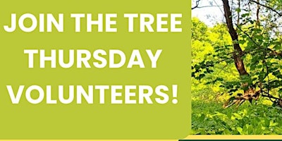 Primaire afbeelding van Tree Thursday at Meanwood Park