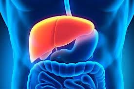 Imagem principal de Chronic Liver Disease in Primary Care