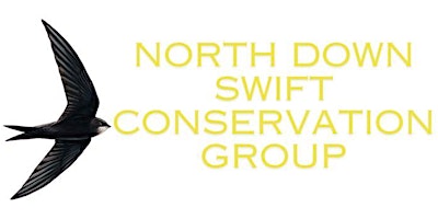 Hauptbild für North Down Swifts Conservation Group - Launch & volunteer information evening