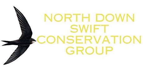North Down Swifts Conservation Group - Launch & volunteer information evening
