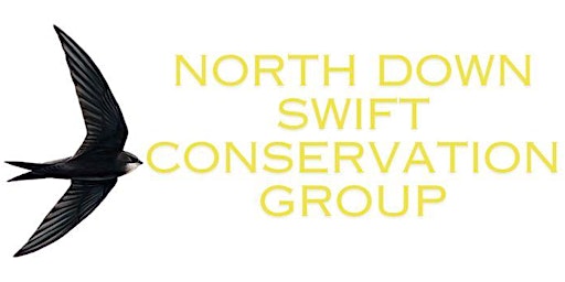 Imagem principal de North Down Swifts Conservation Group - Launch & volunteer information evening