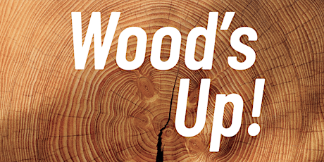 Wood's Up! Holzbau im Gespräch