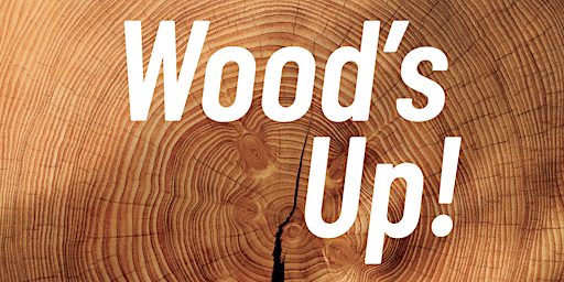 Imagem principal do evento Wood's Up! Holzbau im Gespräch