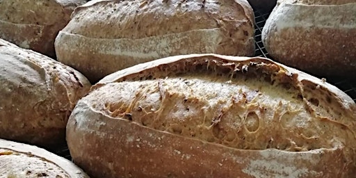 Sourdough Breadmaking with Paul Raddan primary image