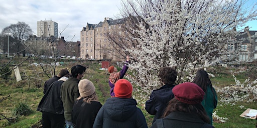 Primaire afbeelding van Naming trees