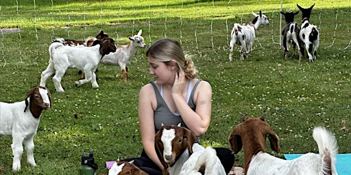 Primaire afbeelding van Goat Yoga