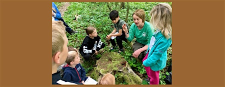 Family Bushcraft Day with TinderSticks primary image