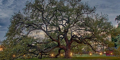 Hampton Art Lovers Presents: Under A Simple Tree| The Canopy Policy Project primary image