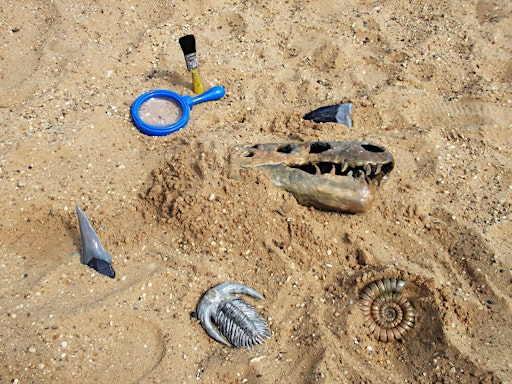 Image principale de Thameside Dinosaur Discovery
