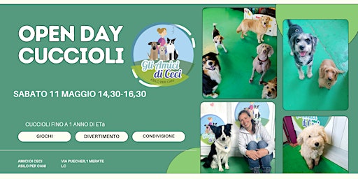 Imagem principal do evento Open day cuccioli