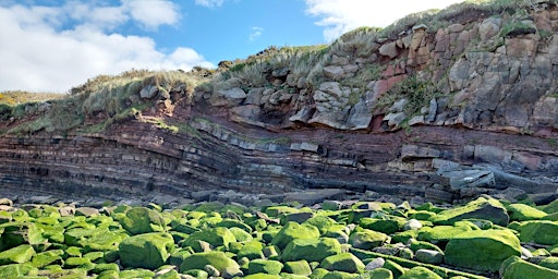 Imagem principal do evento Family Geology Walk from Half Moon Bay