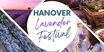 Hauptbild für 2024 Hanover Lavender Festival