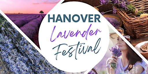 Imagem principal do evento 2024 Hanover Lavender Festival
