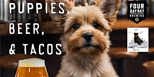 PUPPIES, BEER, & TACOS primary image