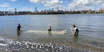 City of Water Day 2024 - Shoreline Marine Life Discovery Workshop primary image