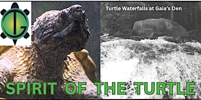 SPIRIT OF THE TURTLE:  TURTLE FUNDRAISER & GAIA'S DEN OPEN HOUSE primary image