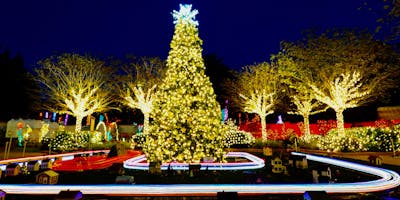 Holiday Lights at the Florida Botanical Gardens 2019