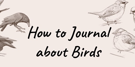 How to nature journal about birds