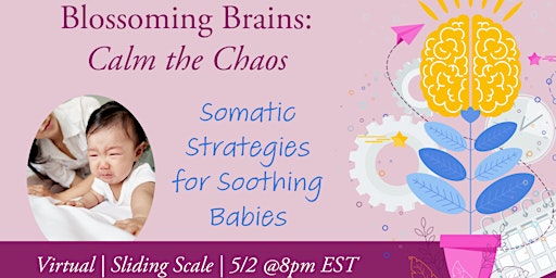 Imagen principal de Blossoming Brains: Calm the Chaos (Soothing Babies 0-12 months)
