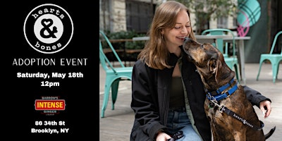 Hearts & Bones Rescue Dog Adoption Event  primärbild