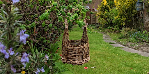 Imagen principal de Create Your Own Unique Basket using Willow and Foraged Materials!