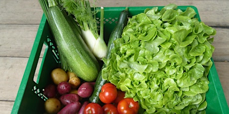 Führung Solidarische Landwirtschaft Uttenhofen