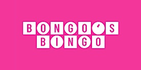 Bongo’s Bingo primary image