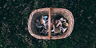 Wild Spa and Foraging with Peter Chippy from TREWHITTS primary image