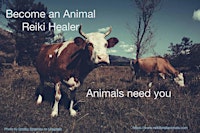Reiki+for+All+Animals