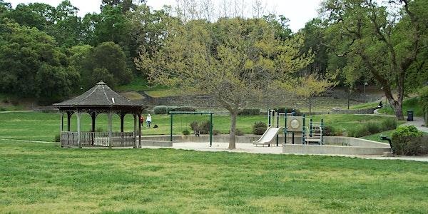 Hamilton Amphitheater Park Tree Care