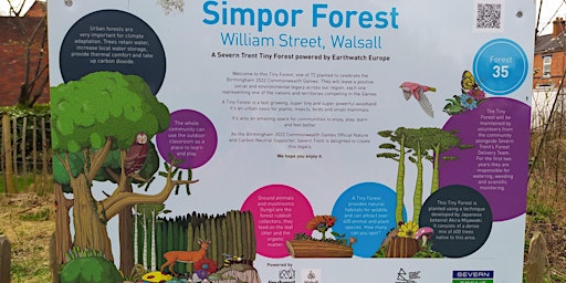 Hauptbild für William Street Tiny Forest Data Monitoring