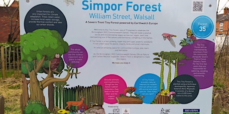 William Street Tiny Forest Data Monitoring